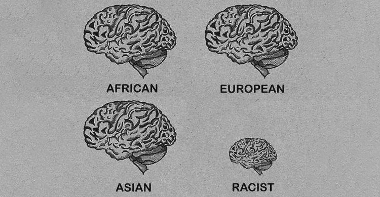 “Biogeografische DNA-Analysen” zur Verbrechensbekämpfung?
